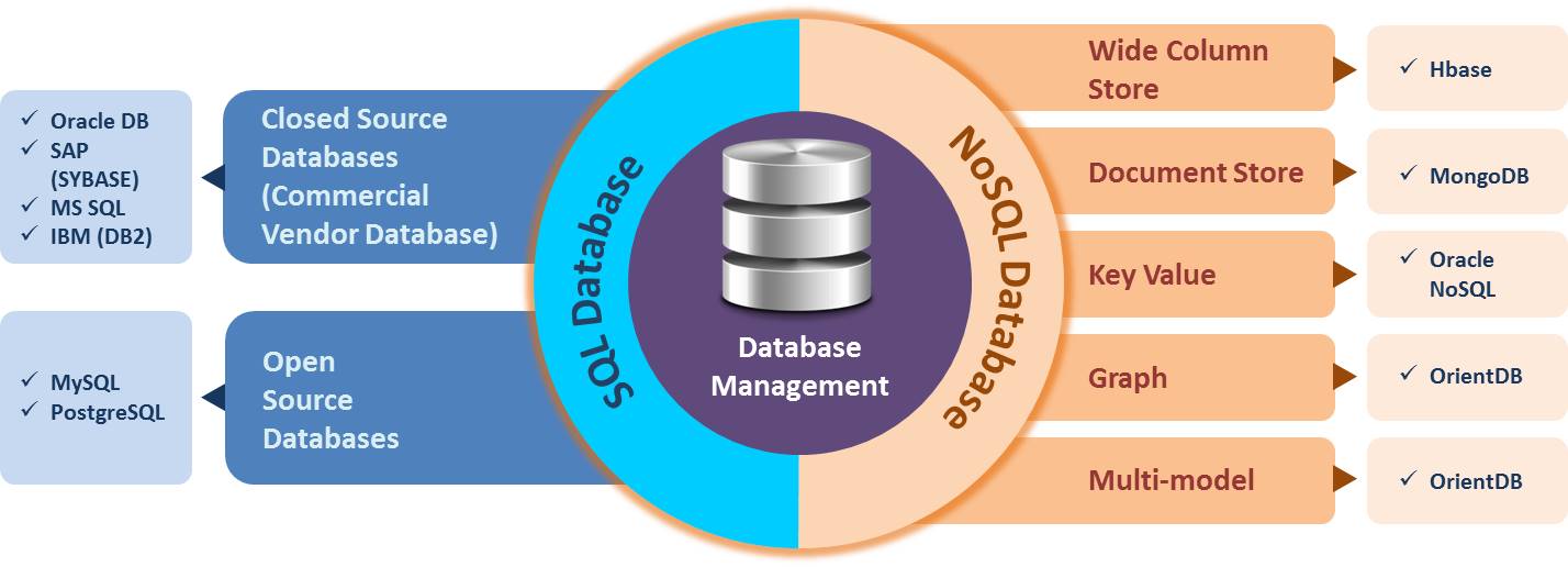 Database Management Services