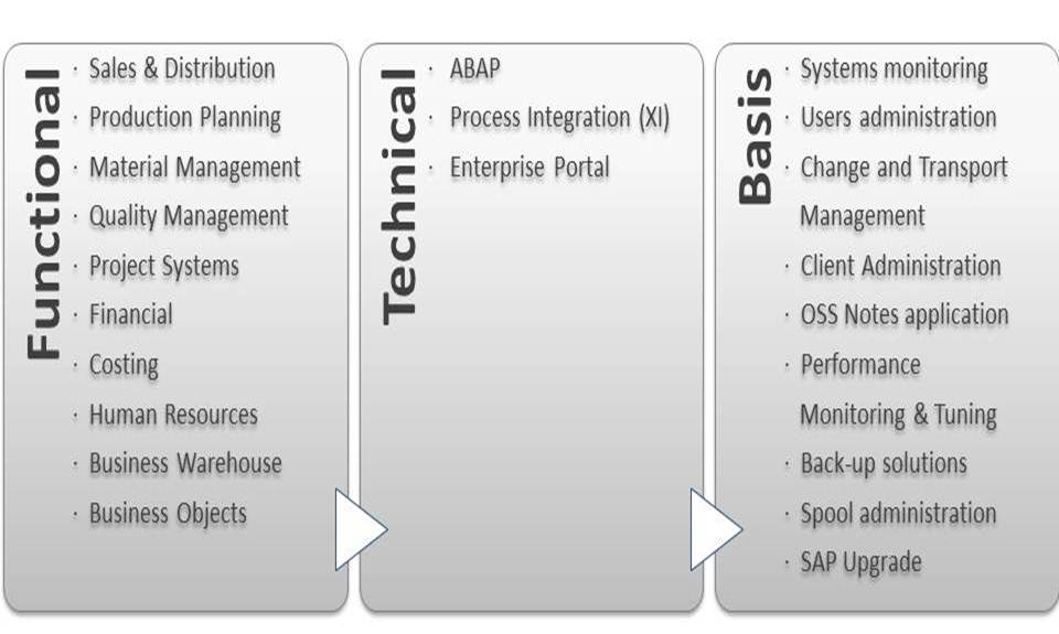 SAP Services